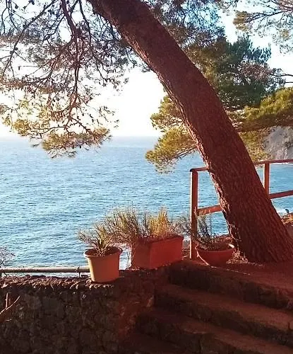 Cinqueterre National Park Sea View