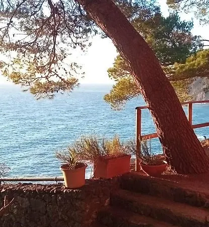 Cinqueterre National Park Sea View
